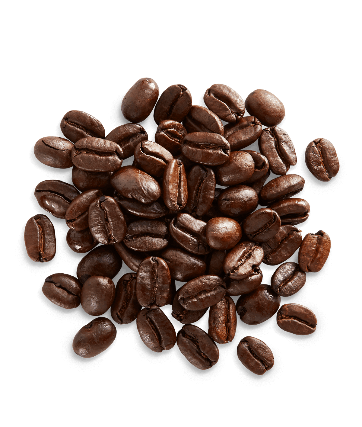 Peet's Sulawesi-Kalosi Coffee beans shown up close with detail