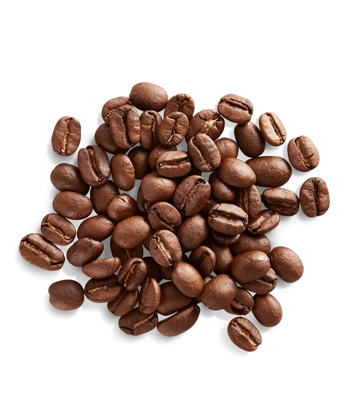 Peet's Café Domingo® Coffee beans shown up close with detail